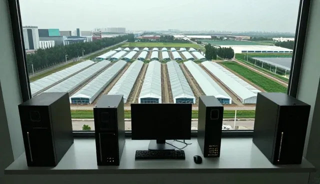 技术融合驱动域名注册与虚拟主机协同发展